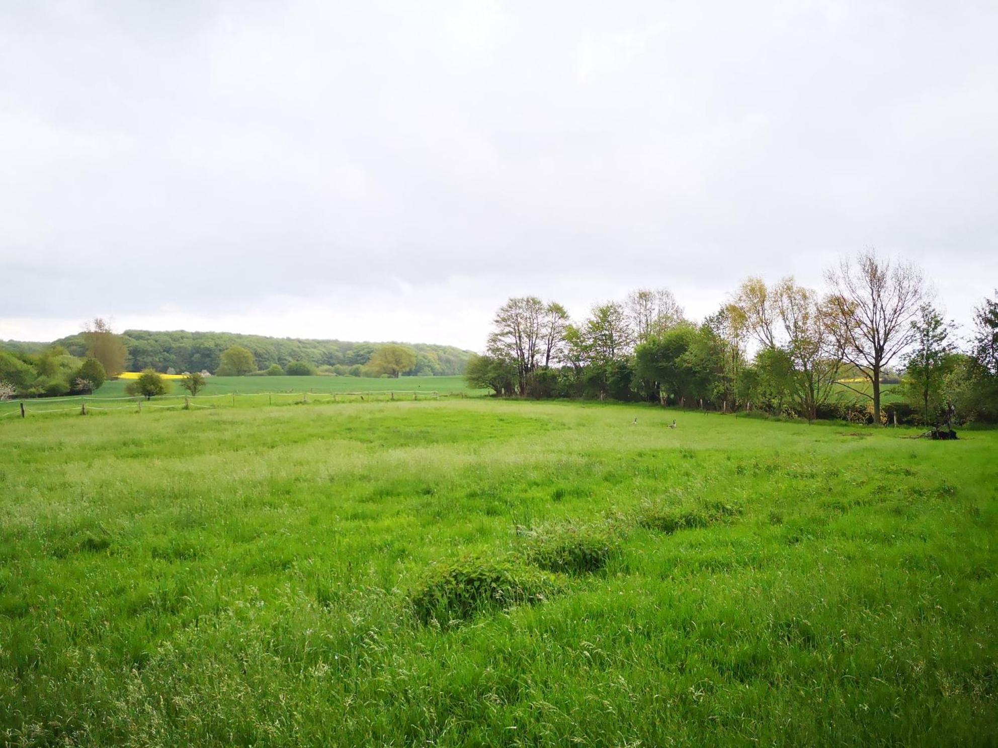 Ferienwohnung Zum Singschwan Rieseby Exterior foto